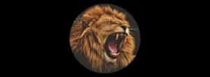 illustration de l'Afrique par un beau lion