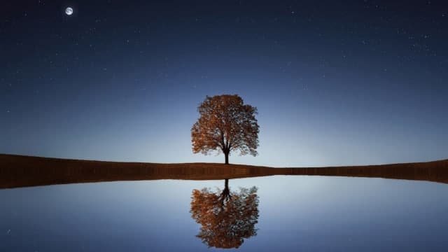 Photographie qui illustre le poème Automne malade de Guillaume APOLLINAIRE